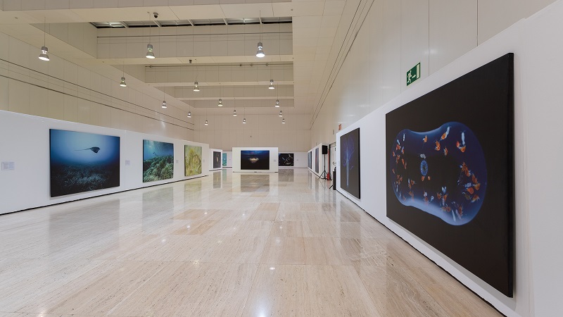 ÁNGEL FITOR EXPONE «MARE LUCIDUM» EN EL CUB DEL MUSEO DE LA UNIVERSIDAD DE ALICANTE