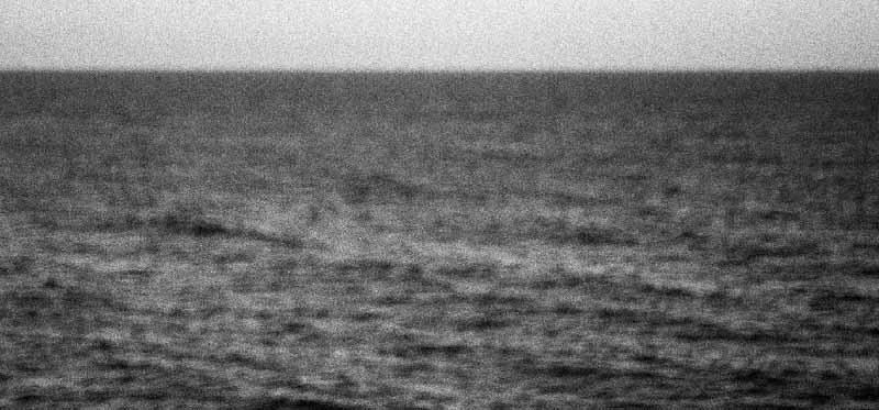 “Vientos del Pueblo. Voces del Exilio y resistencia” en el Edificio La Valona de la Universidad Miguel Hernández de Elche